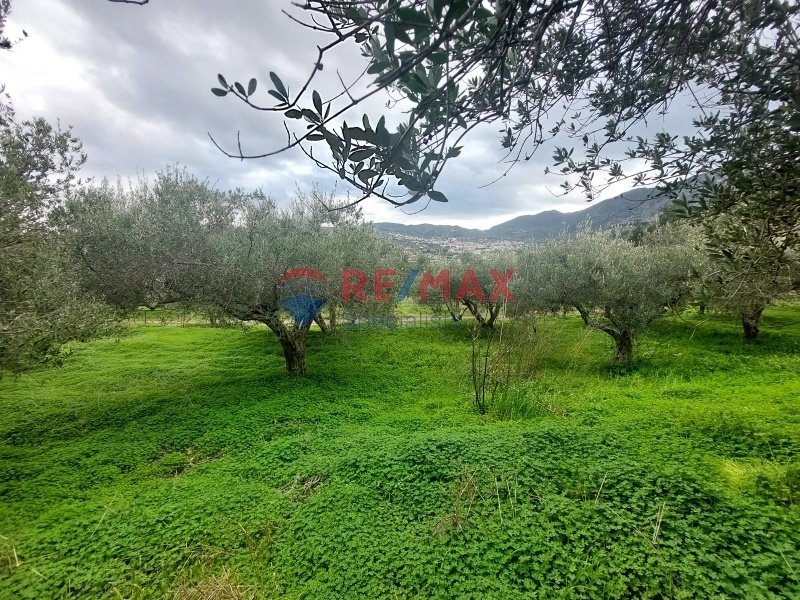Land in Community of Kato Archane, Archanes, Greece 4 - 15725719
