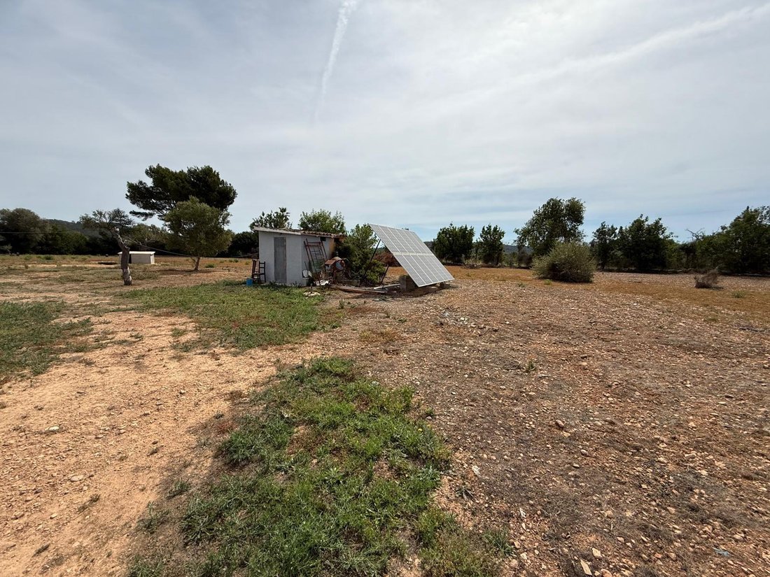 Country House in Llucmajor, Balearic Islands, Spain 4 - 15726206