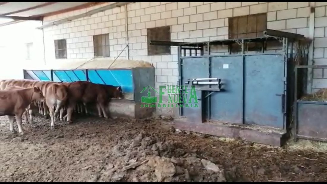 Farm Ranch in Huelva, Andalusia, Spain 3 - 15724501