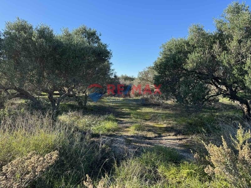 Land in Crete, Greece 2 - 15725779