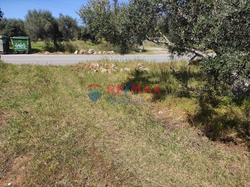Apartment in Crete, Greece 5 - 15725673