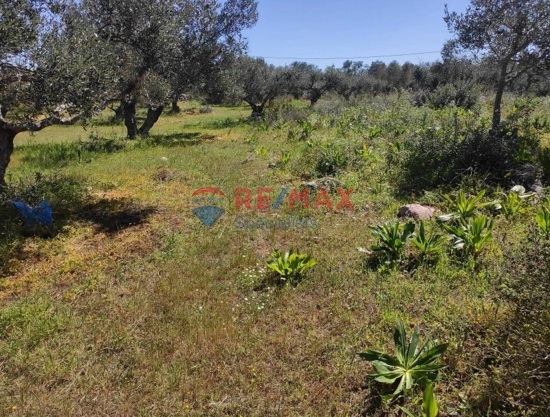 Apartment in Crete, Greece 1 - 15725673