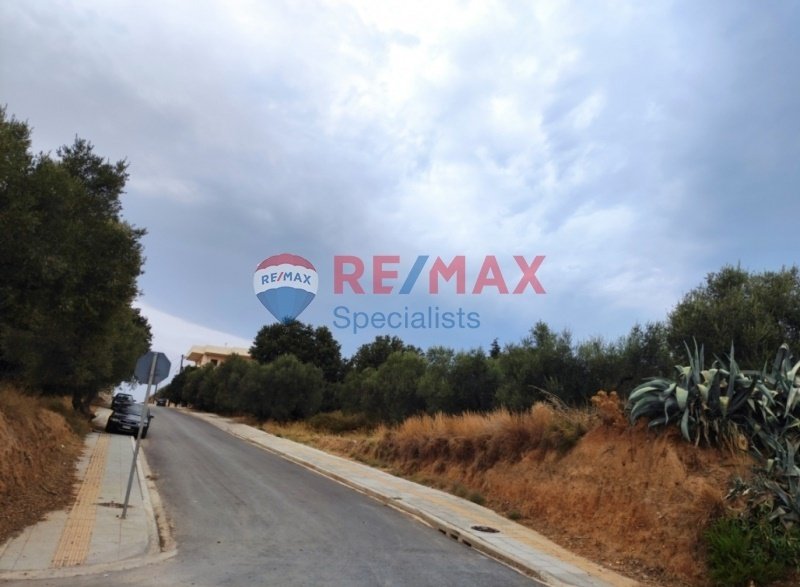 Land in Crete, Greece 3 - 15725734