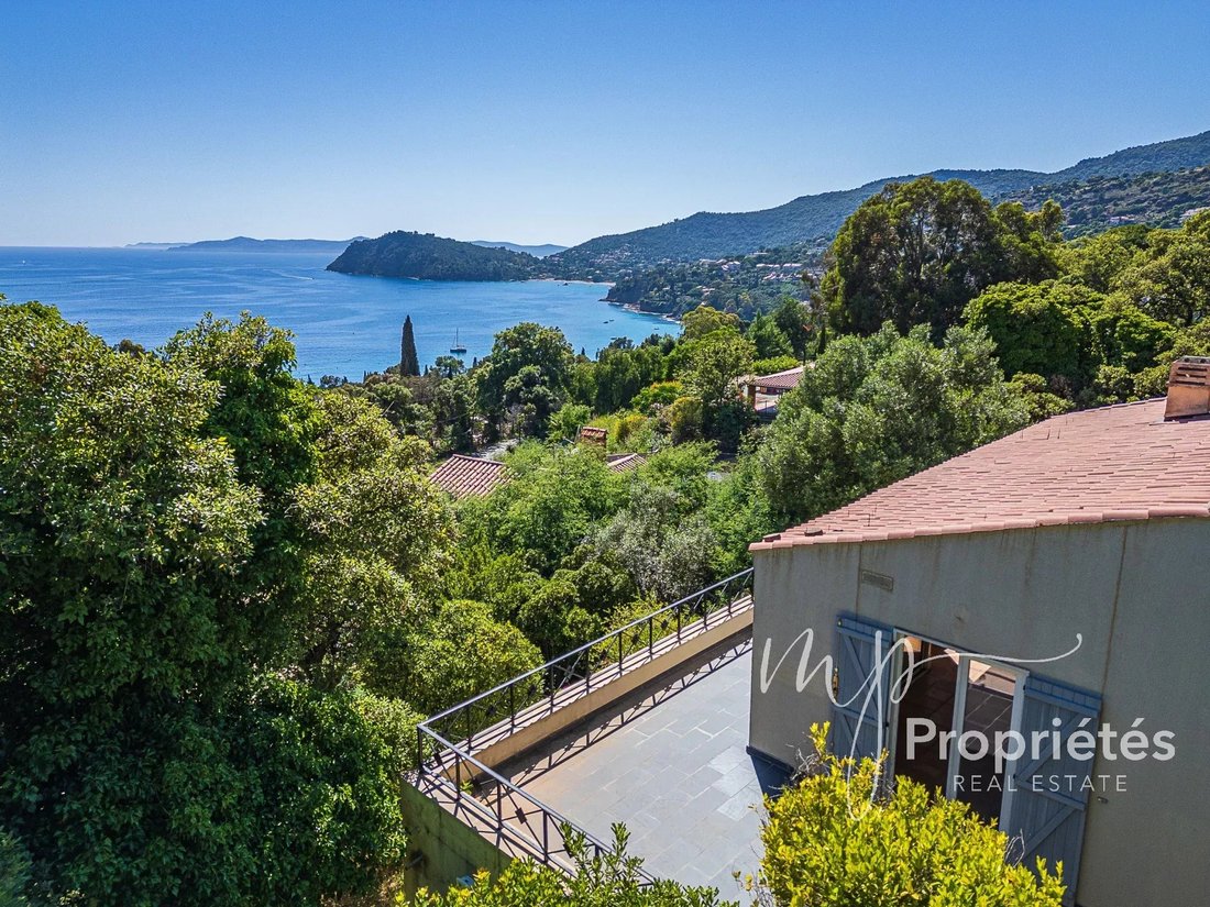 House in Rayol-Canadel-sur-Mer, Provence-Alpes-Côte d'Azur, France 1 - 15687488