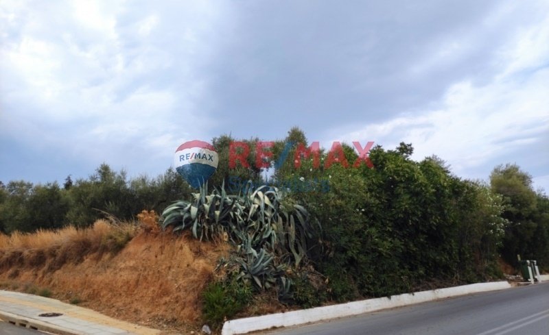 Land in Crete, Greece 4 - 15725734