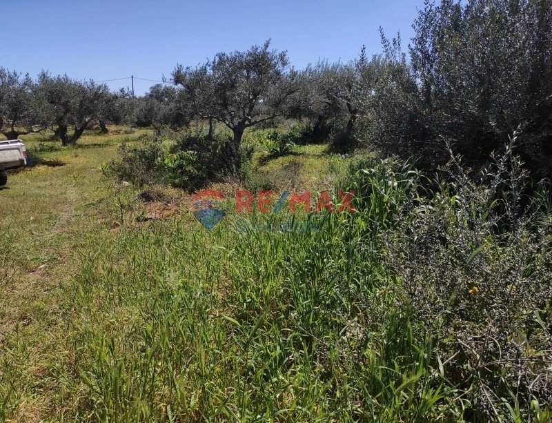 Apartment in Crete, Greece 4 - 15725673