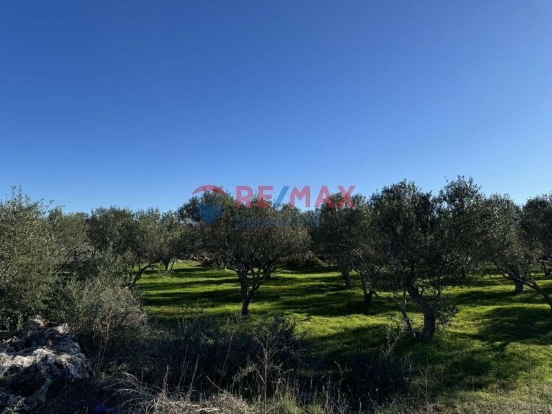 Land in Crete, Greece 1 - 15725779
