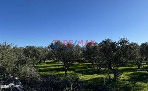 Terreno en Crete, Grecia 1