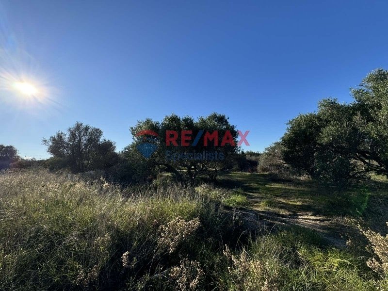 Land in Crete, Greece 4 - 15725779