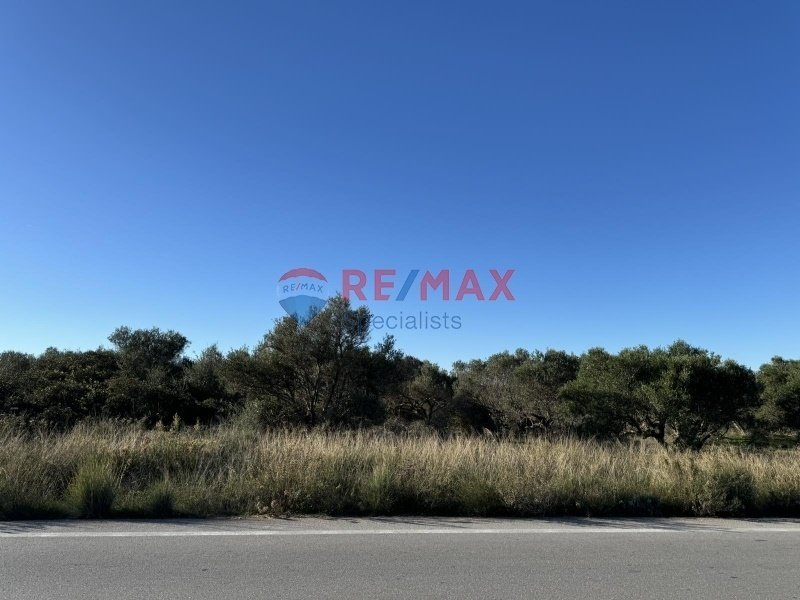 Land in Crete, Greece 3 - 15725779
