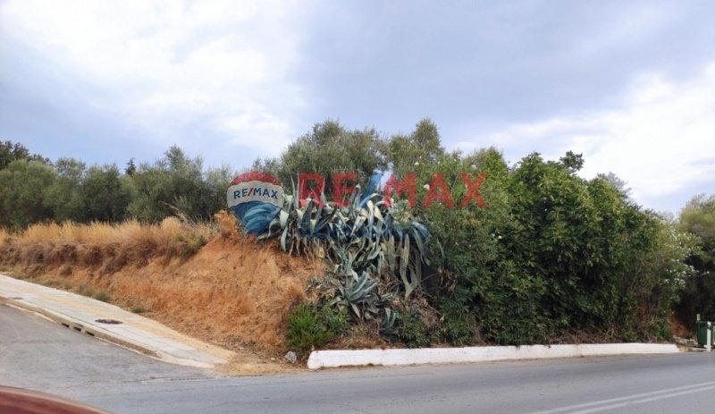 Land in Crete, Greece 1 - 15725734