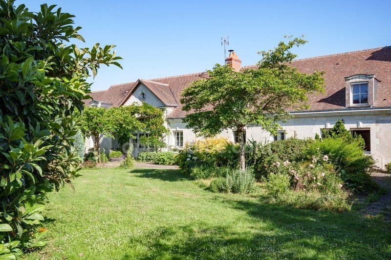 Farm Ranch in Bourg, Fondettes, France 5 - 15695025