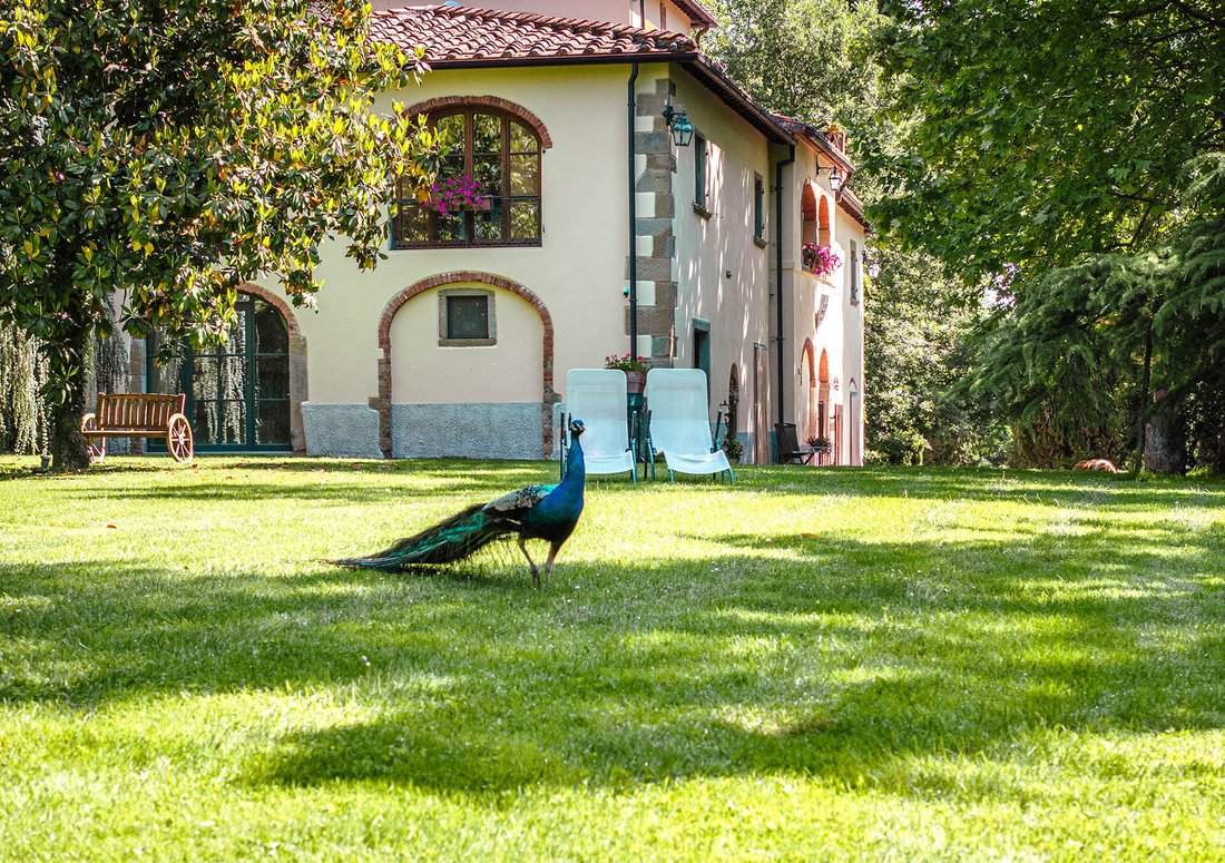 Villa in Laterina Pergine Valdarno, Tuscany, Italy 3 - 15555362