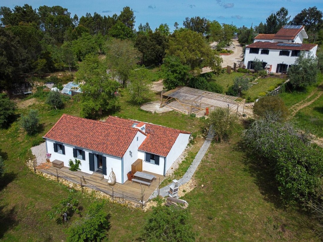 Farm Ranch in Gondemaria e Olival, Santarem District, Portugal 1 - 15728885