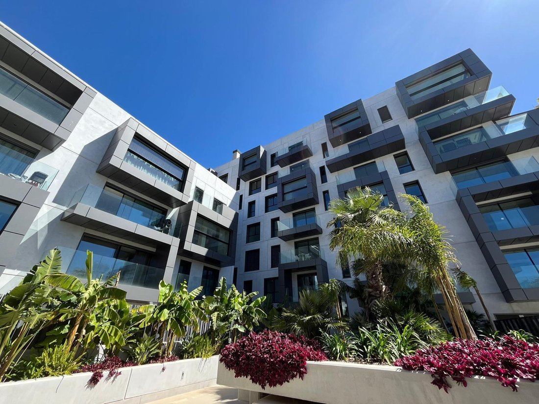 Apartment in Palma, Balearic Islands, Spain 1 - 15729023