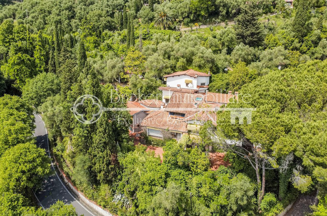 Villa in Massarosa, Tuscany, Italy 2 - 15733894