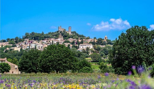 Villa in Grimaud, Provence-Alpes-Côte d'Azur, France 3 - 15730025