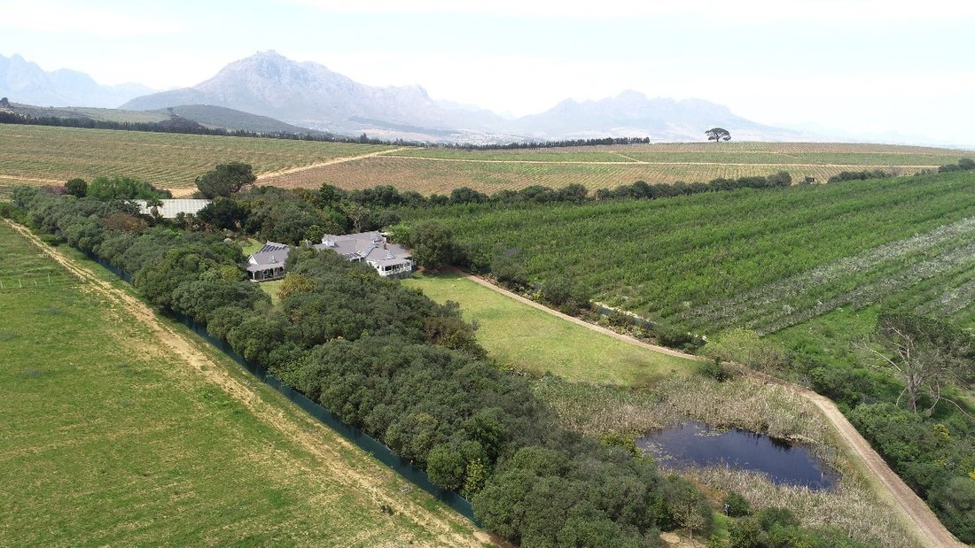 Estate in Stellenbosch, Western Cape, South Africa 3 - 15730962