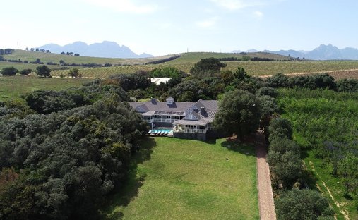 Estate in Stellenbosch, Western Cape, South Africa 1