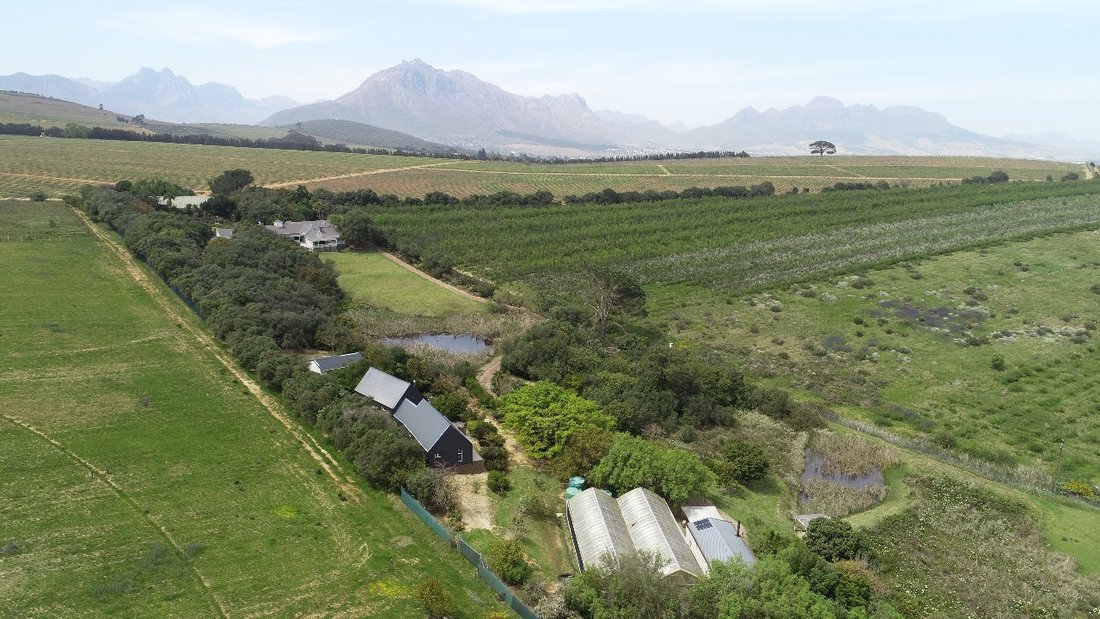 Estate in Stellenbosch, Western Cape, South Africa 5 - 15730962