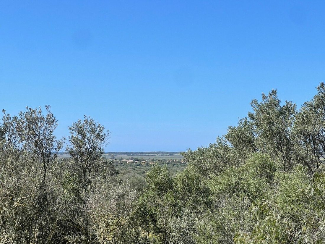 Country House in Campos, Balearic Islands, Spain 5 - 15732684