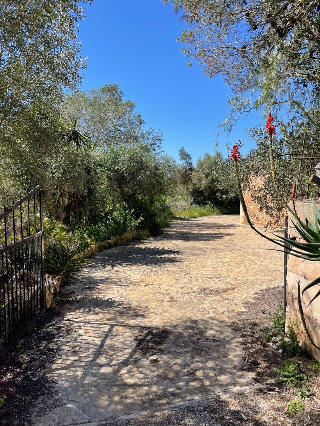 Country House in Campos, Balearic Islands, Spain 3 - 15732684