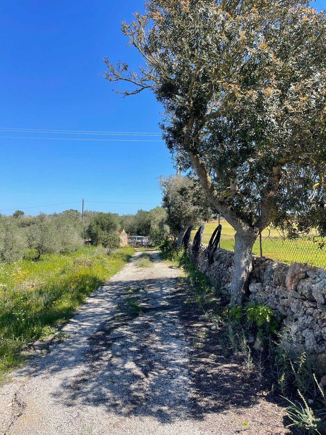 Country House in Campos, Balearic Islands, Spain 2 - 15732684