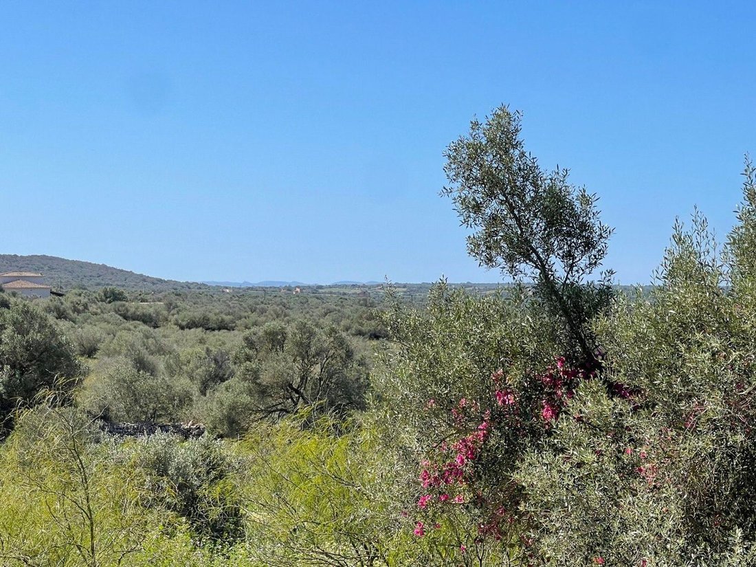Country House in Campos, Balearic Islands, Spain 4 - 15732684