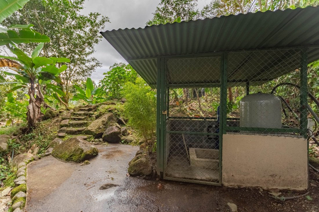 Estate in San Isidro de El General, San José Province, Costa Rica 1 - 15730453