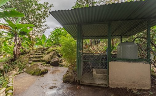 Estate in San Isidro de El General, San José Province, Costa Rica 1