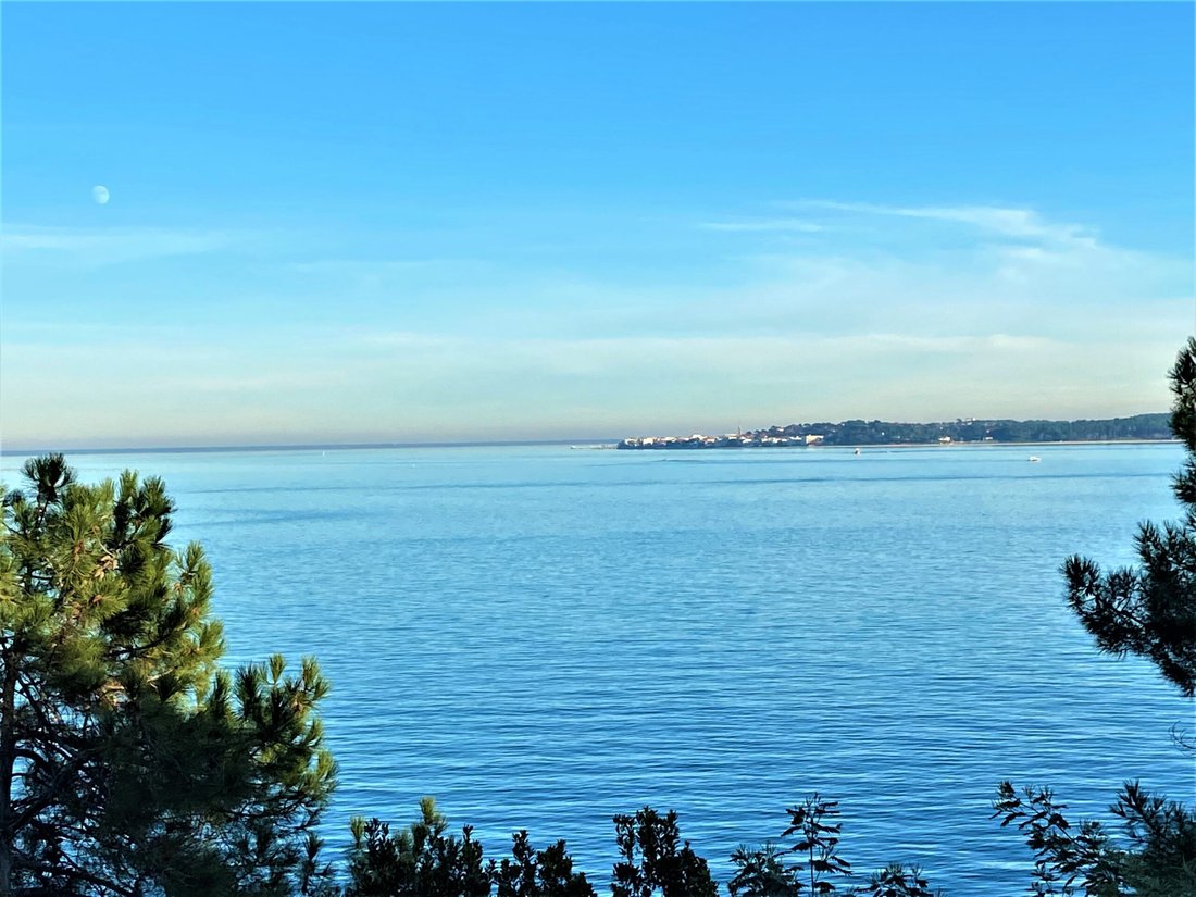 Apartment in Centre Cap Ferret, Lège-Cap-Ferret, France 2 - 15735905