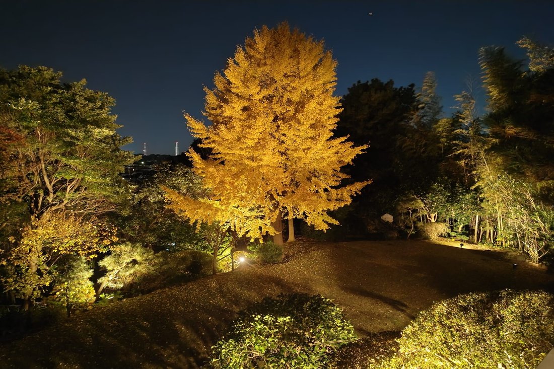 Land in Yokohama, Kanagawa, Japan 5 - 15735808