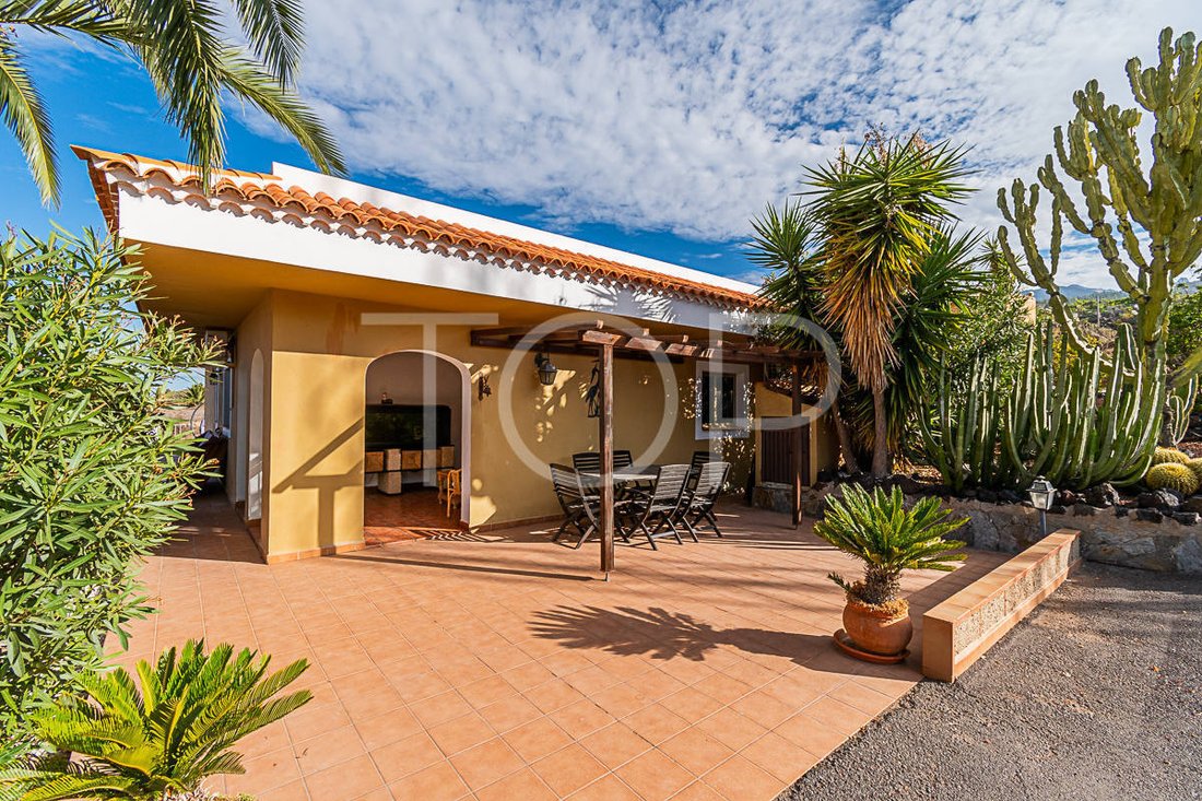 Country House in Adeje, Canary Islands, Spain 2 - 15734497