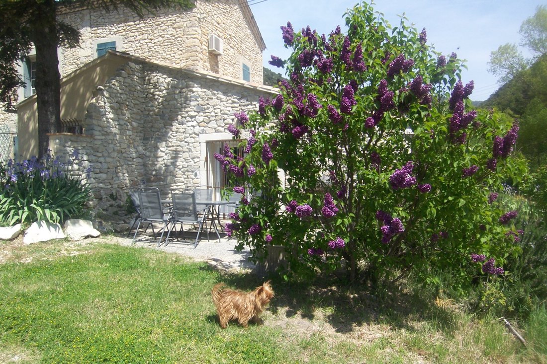 House in Sud Ouest, Nyons, France 3 - 15736189