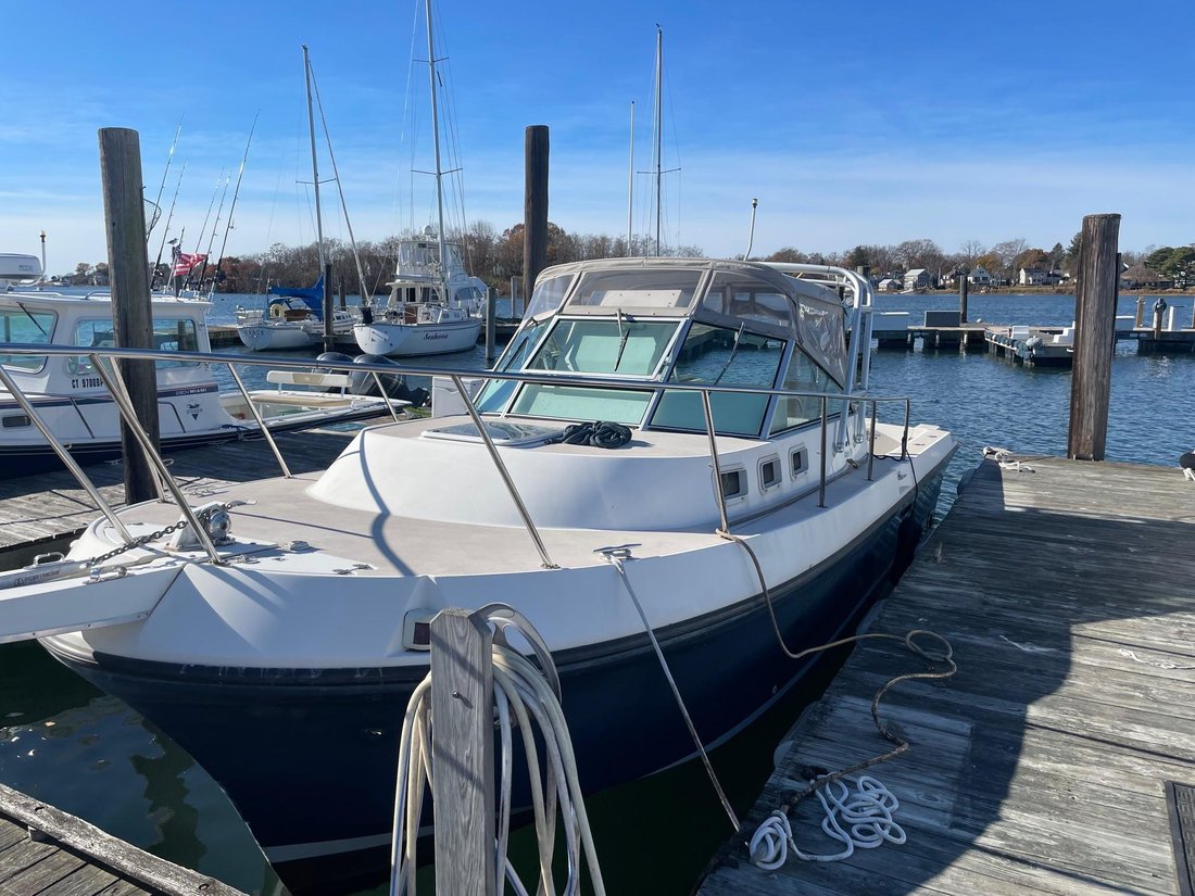 Sport Fisherman in United States 2 - 15736571