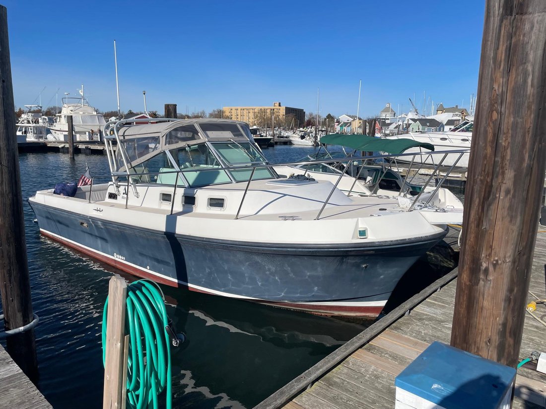 Sport Fisherman in United States 1 - 15736571
