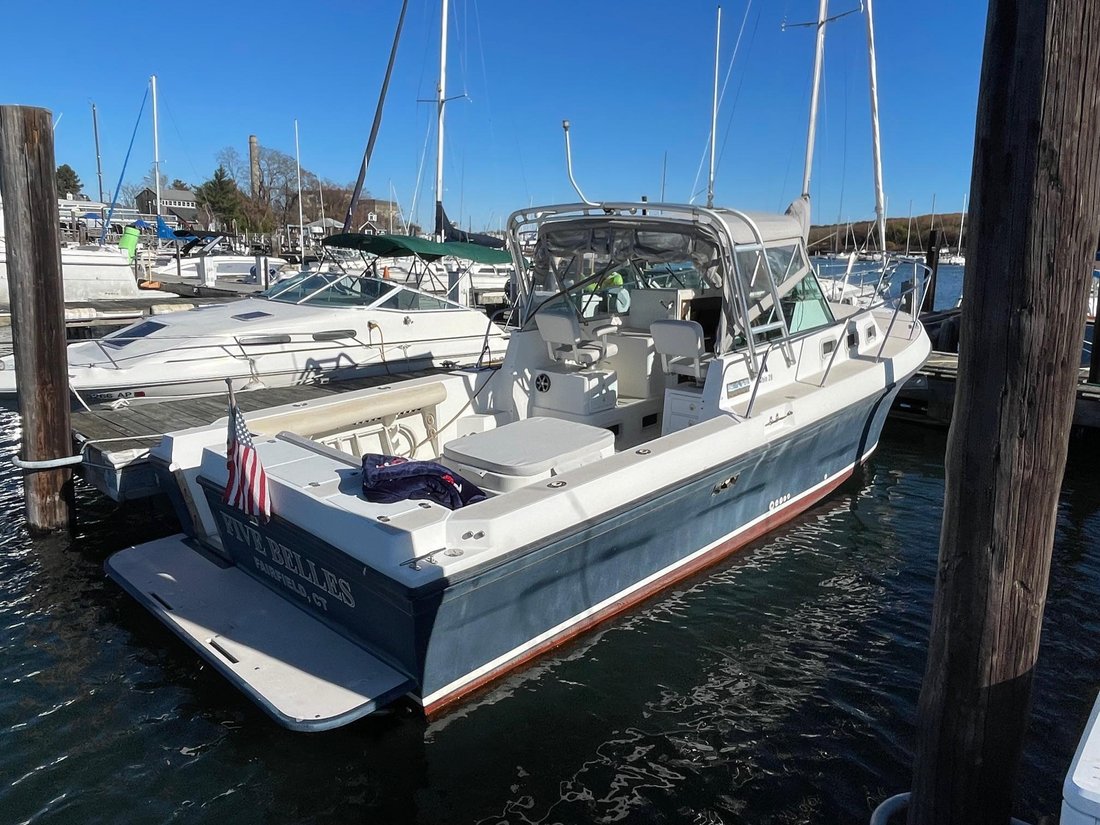 Sport Fisherman in United States 4 - 15736571