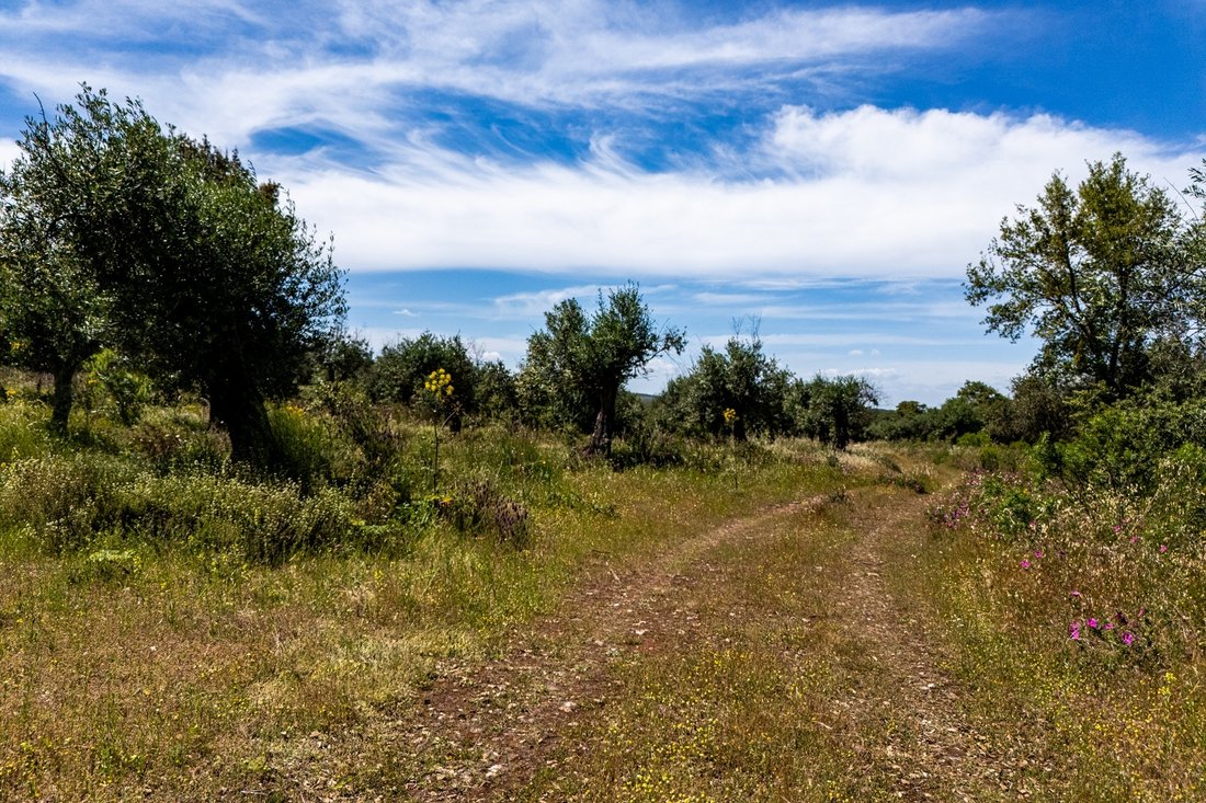 Land in Borba (Sao Bartolomeu), Évora District, Portugal 2 - 15736878