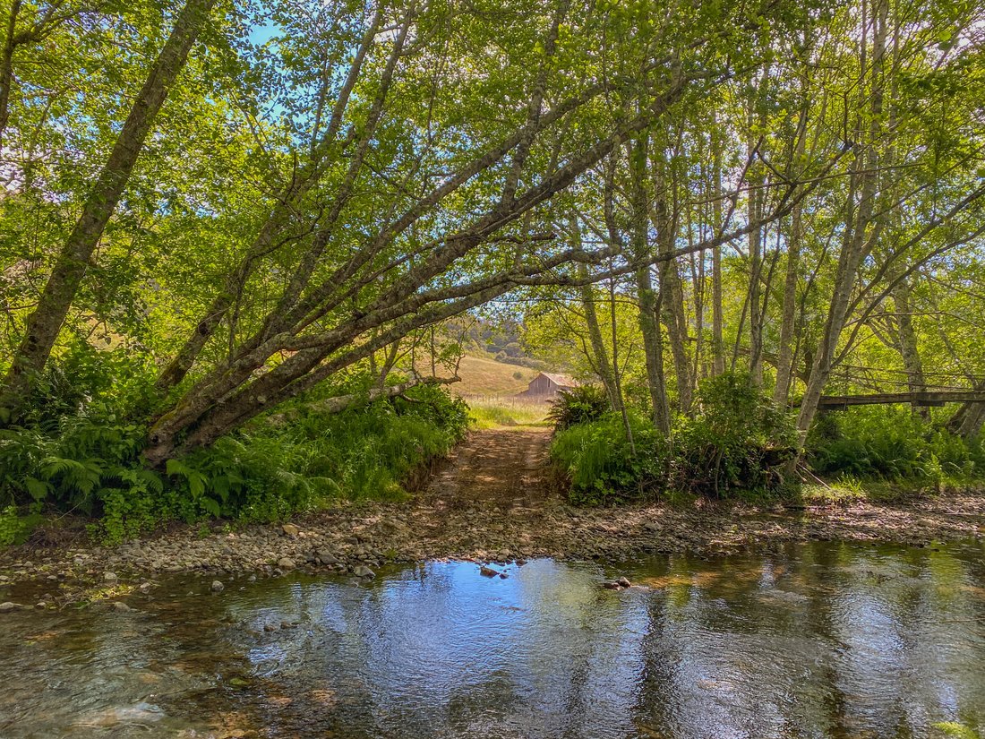 Farm Ranch in Manchester, California, United States 2 - 15736729