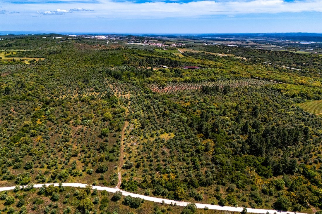 Land in Borba (Sao Bartolomeu), Évora District, Portugal 3 - 15736878