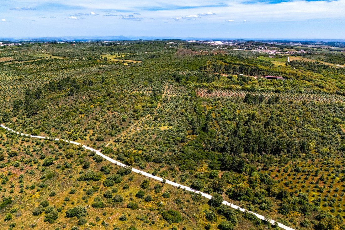 Land in Borba (Sao Bartolomeu), Évora District, Portugal 4 - 15736878