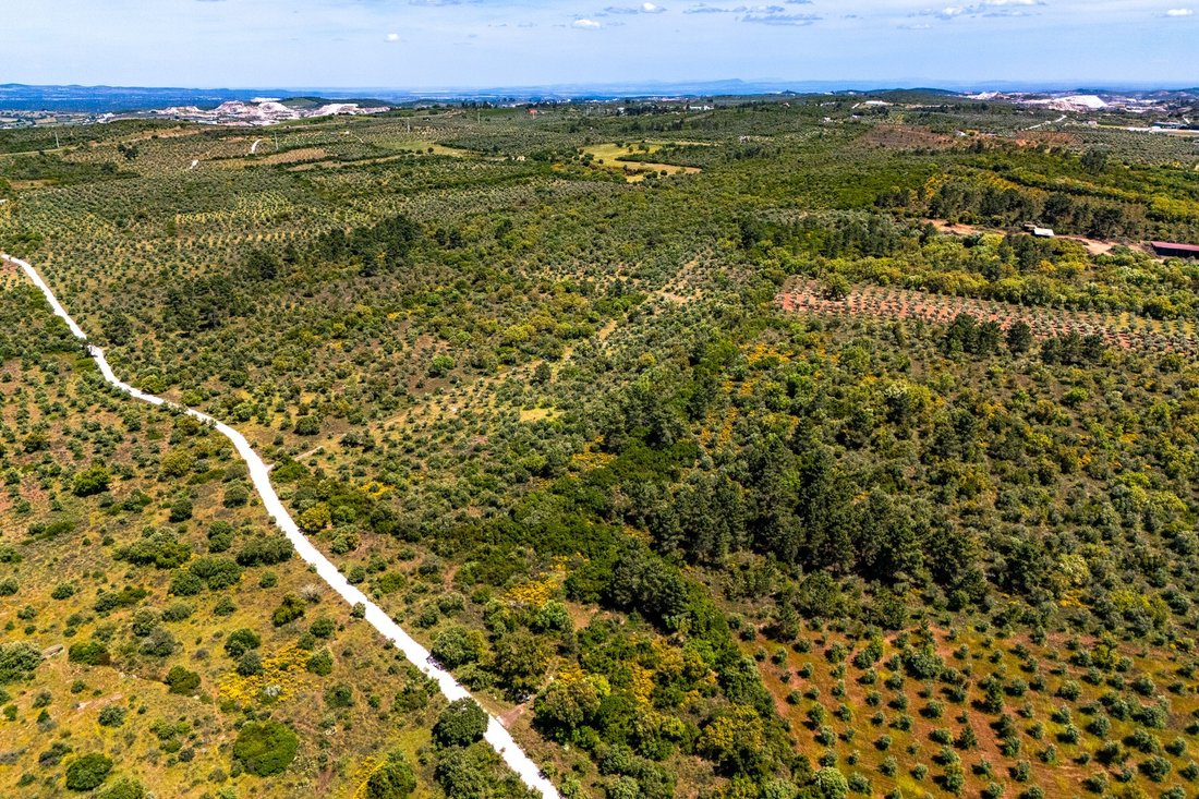 Land in Borba (Sao Bartolomeu), Évora District, Portugal 5 - 15736878