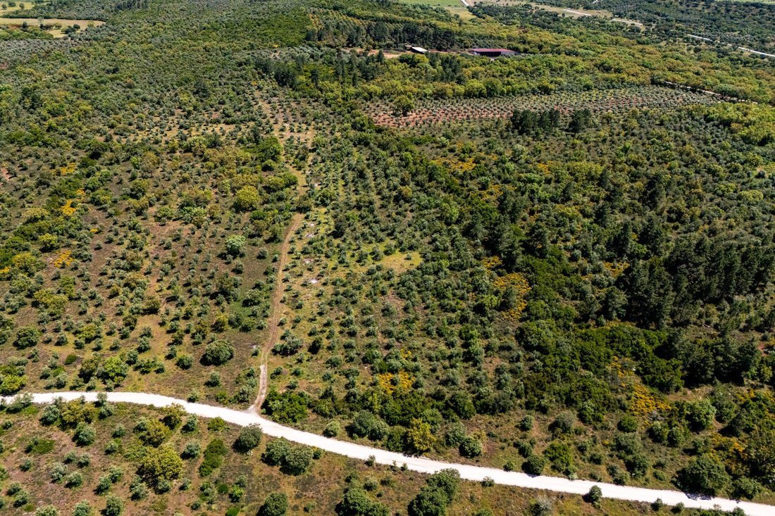 Land in Borba (Sao Bartolomeu), Évora District, Portugal 1 - 15736878
