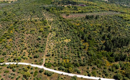 Land in Borba (Sao Bartolomeu), Distrikt Évora, Portugal 1