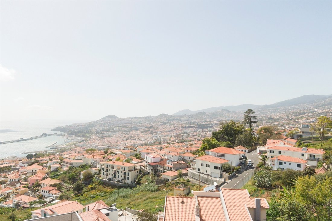 House in Se, Madeira, Portugal 4 - 11379606