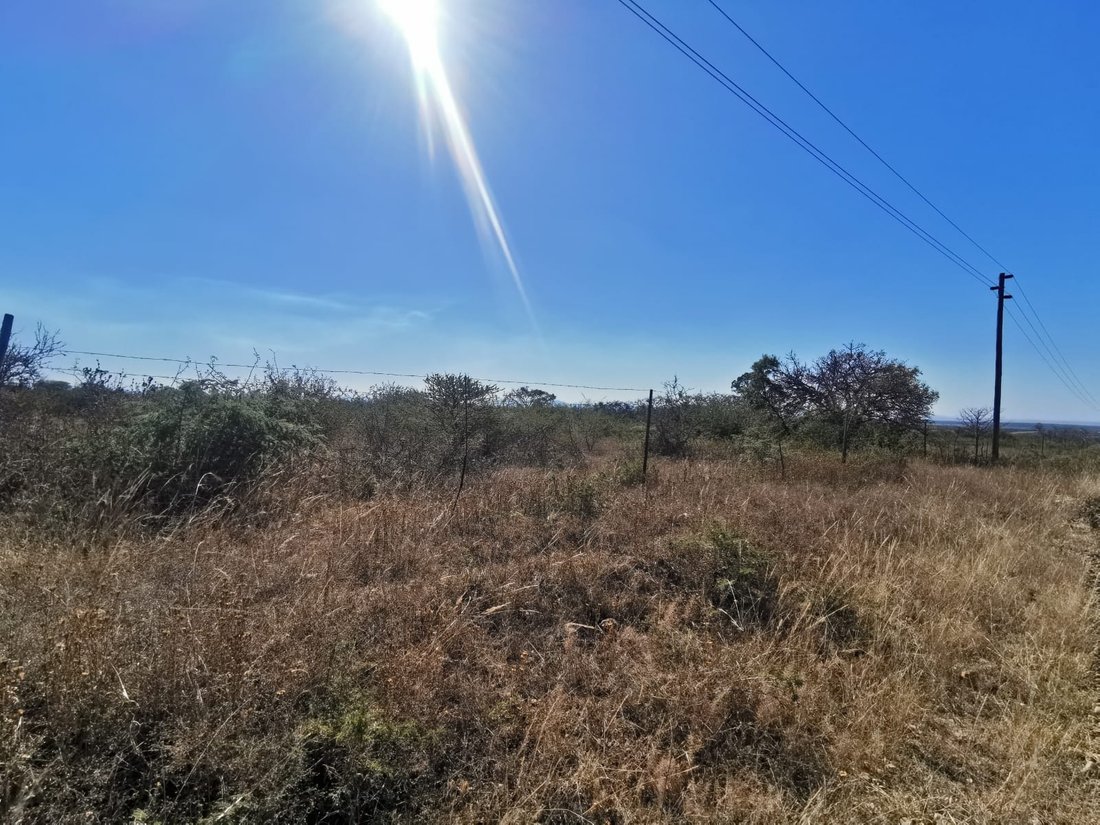 Land in Seshego-A, Limpopo, South Africa 1 - 15737523