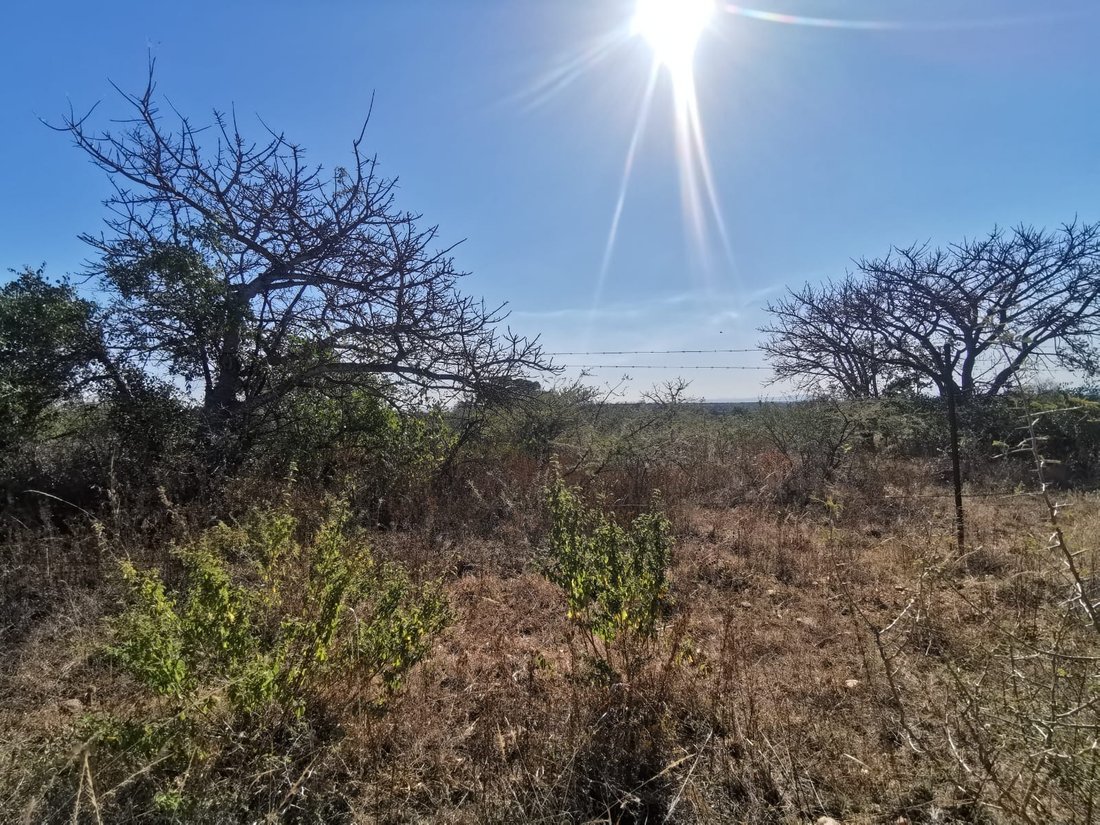 Land in Seshego-A, Limpopo, South Africa 5 - 15737523