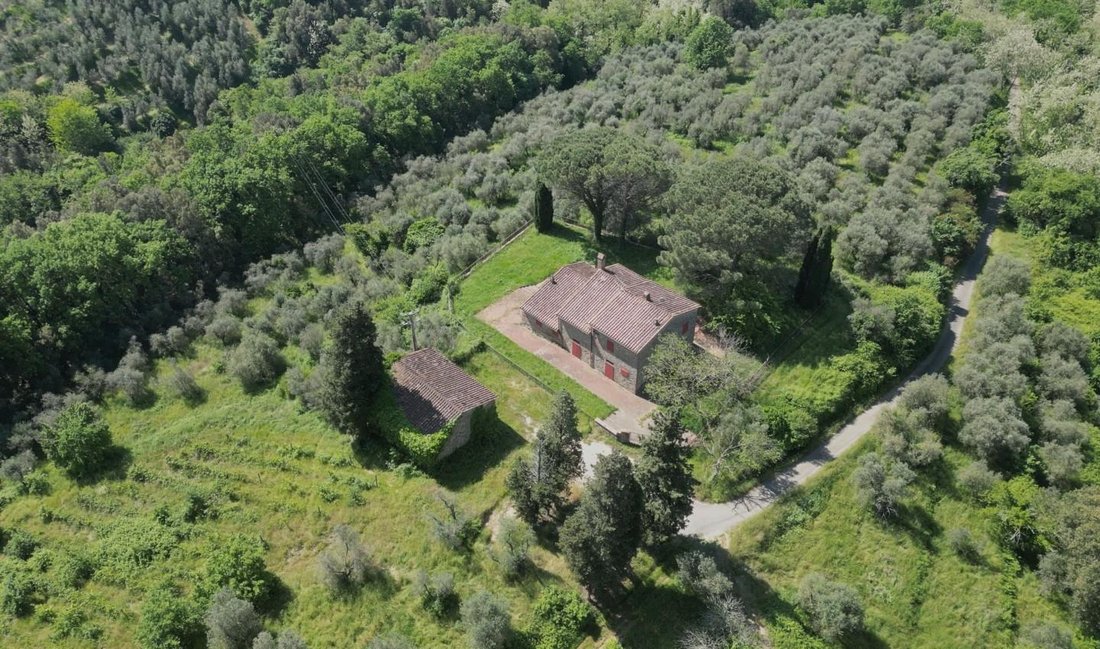 Center, Vinci, Tuscany 4 - 15738632
