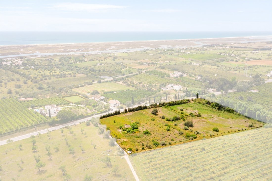 Land in Tavira (Santa Maria e Santiago), Algarve, Portugal 4 - 15600951