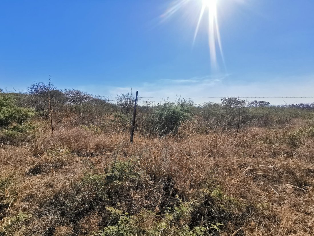Land in Seshego-A, Limpopo, South Africa 2 - 15737523